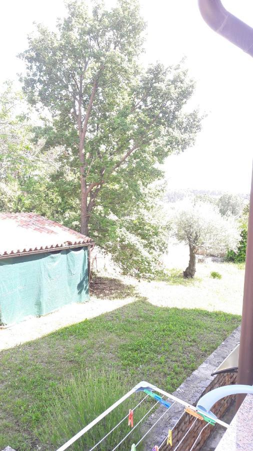 פורץ Apartment Radovan מראה חיצוני תמונה