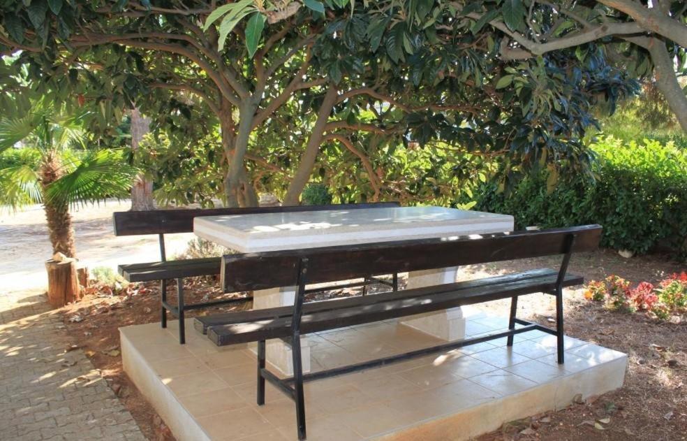 פורץ Apartment Radovan מראה חיצוני תמונה