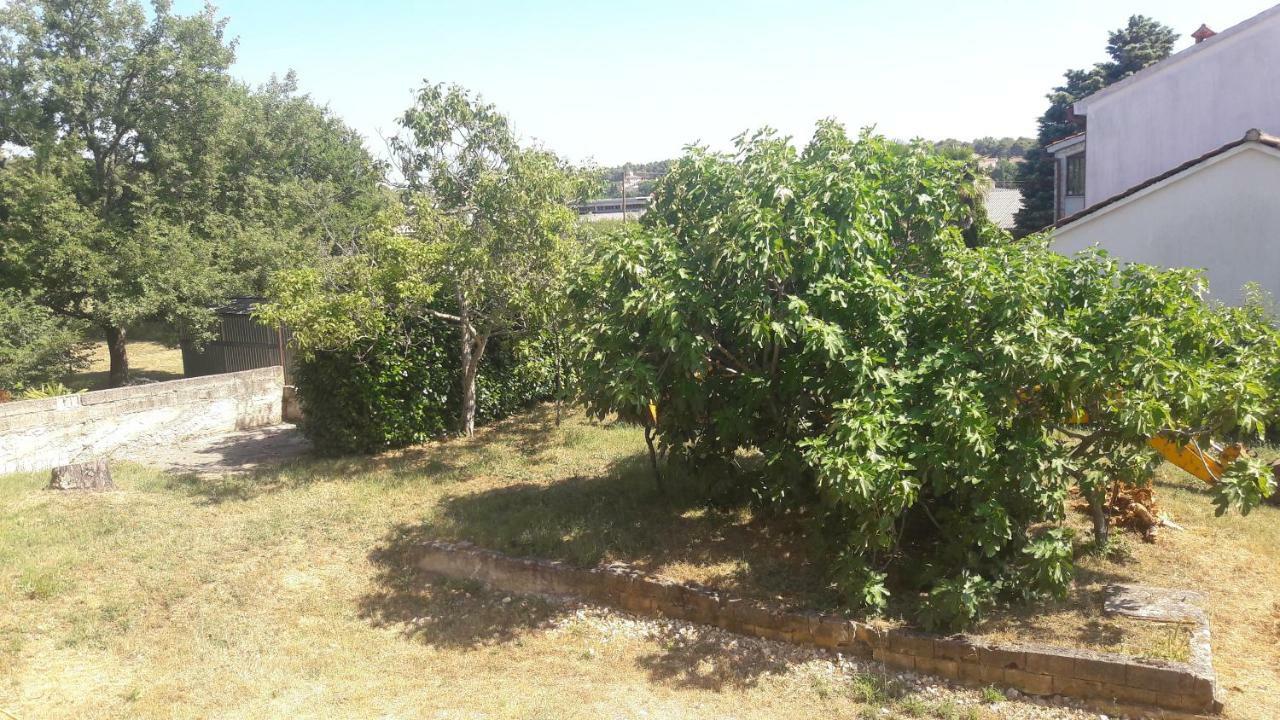 פורץ Apartment Radovan מראה חיצוני תמונה
